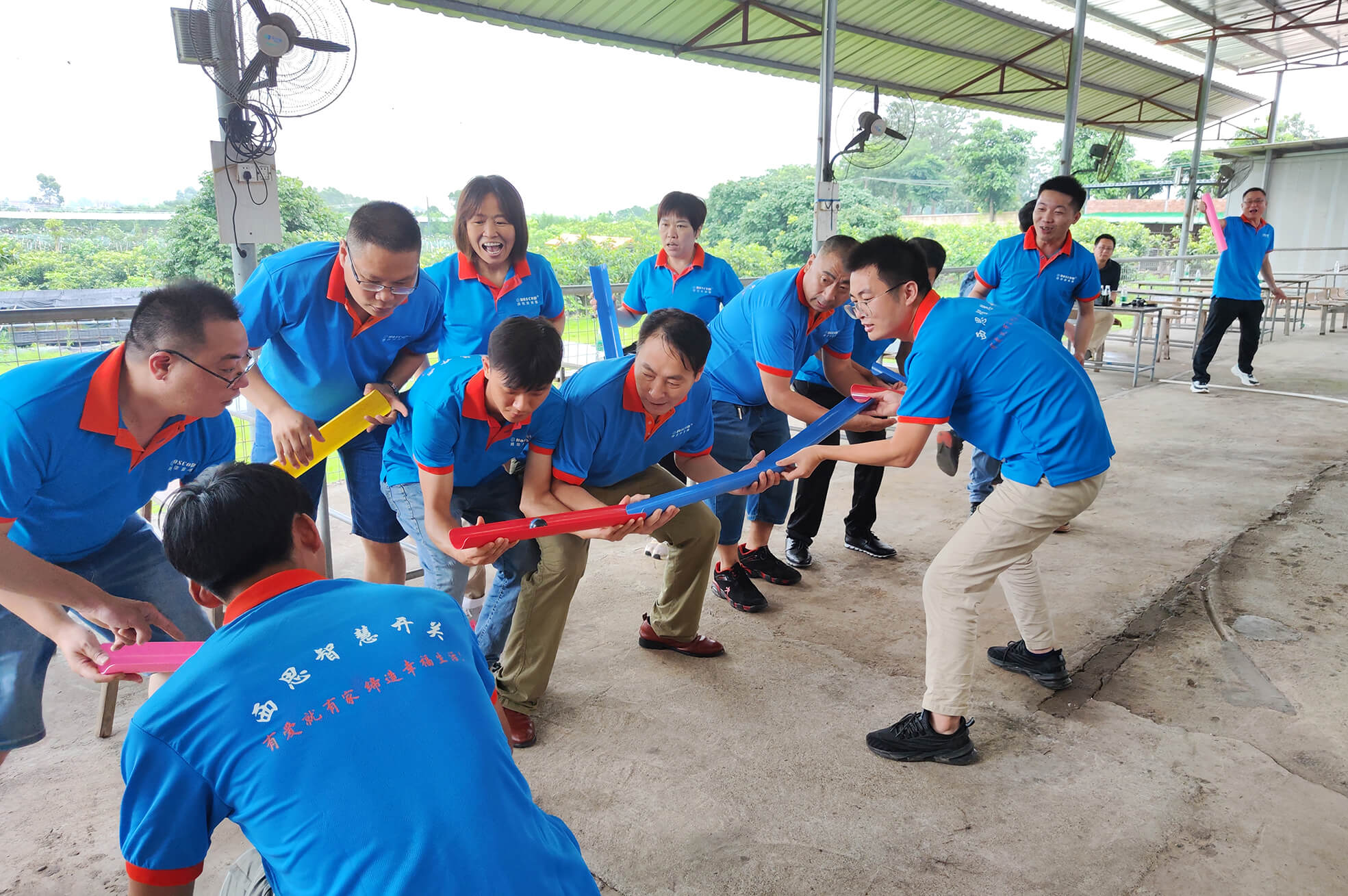 ������k8����Ӯ�ҡ�һ������