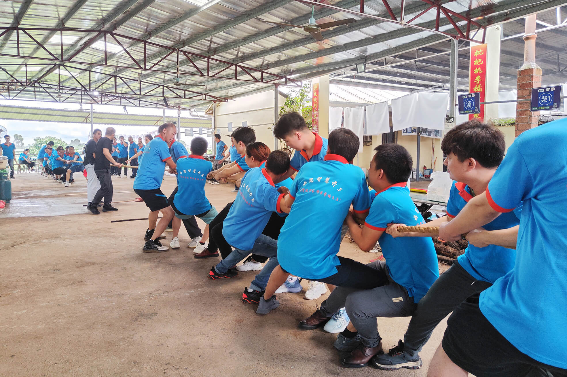 ������k8����Ӯ�ҡ�һ������