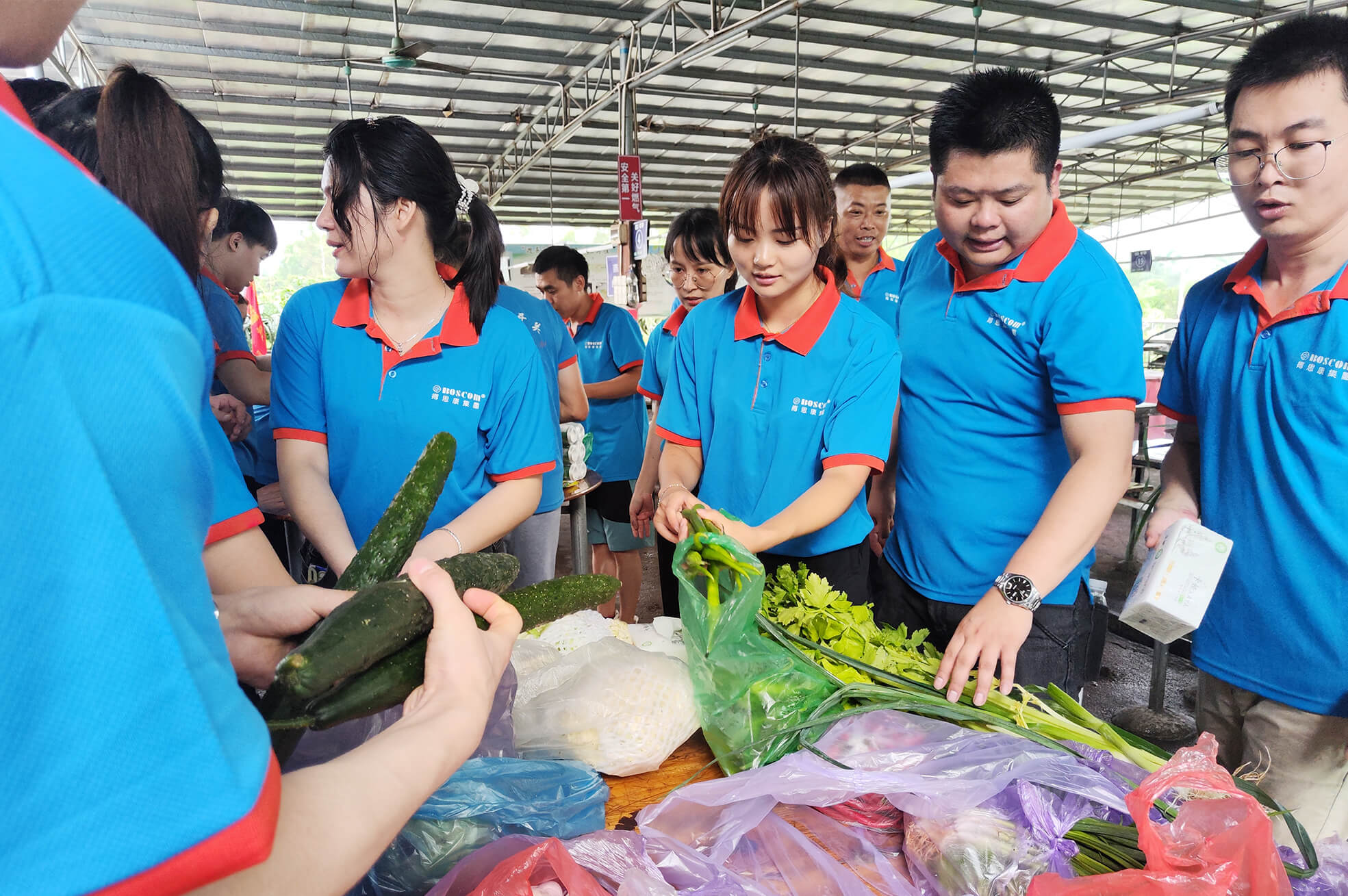 ������k8����Ӯ�ҡ�һ������