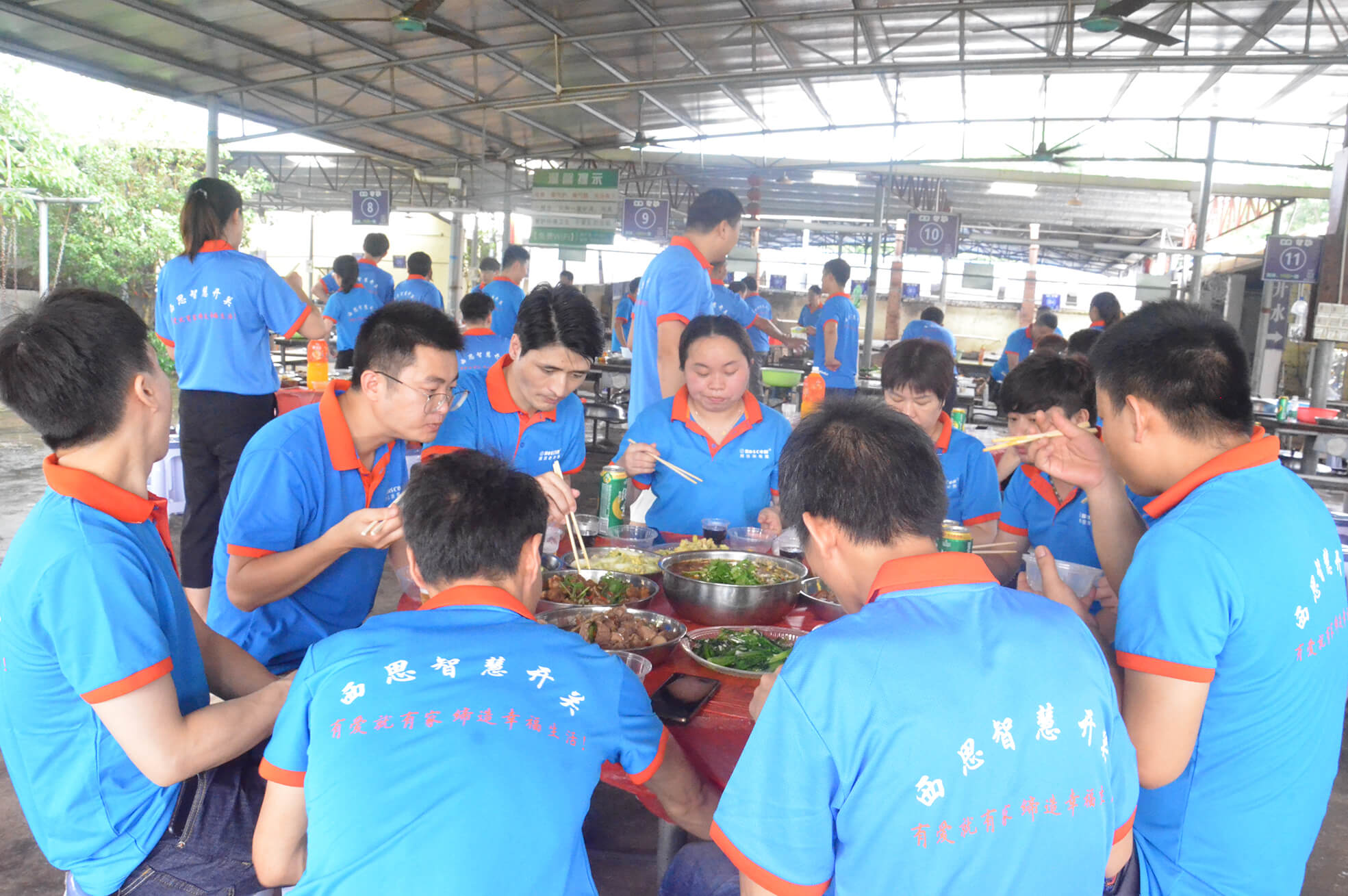 ������k8����Ӯ�ҡ�һ������